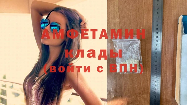 амф Алзамай