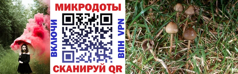 Галлюциногенные грибы мухоморы  Микунь 