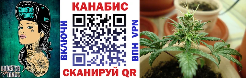 Канабис THC 21%  где можно купить наркотик  Микунь 